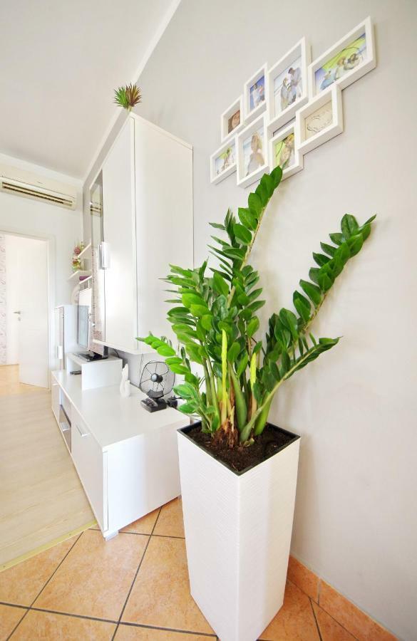 Apartment Paulin Zadar Eksteriør billede